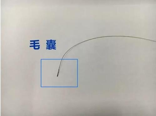 想做個人親子鑒定，頭發(fā)可以鑒定嗎？