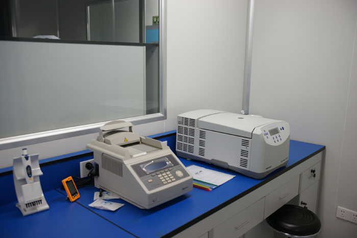 詳解常見的親子鑒定費(fèi)用標(biāo)準(zhǔn)